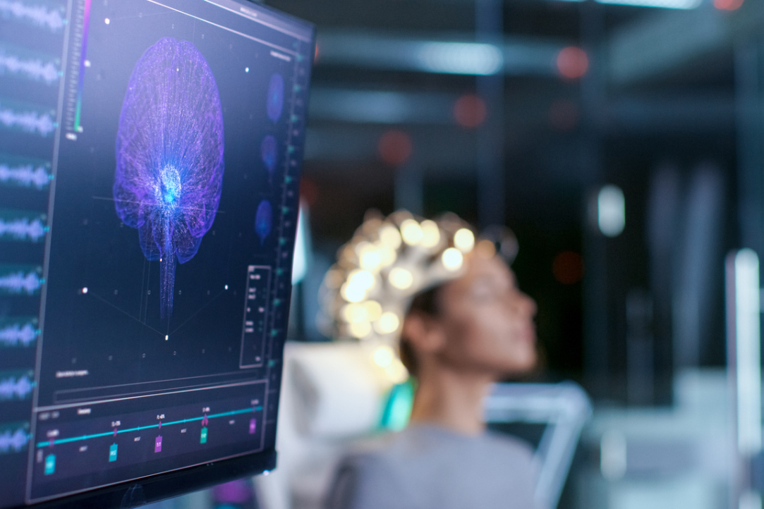 Scientists Clarify How the Brain Memorises and Recalls Information